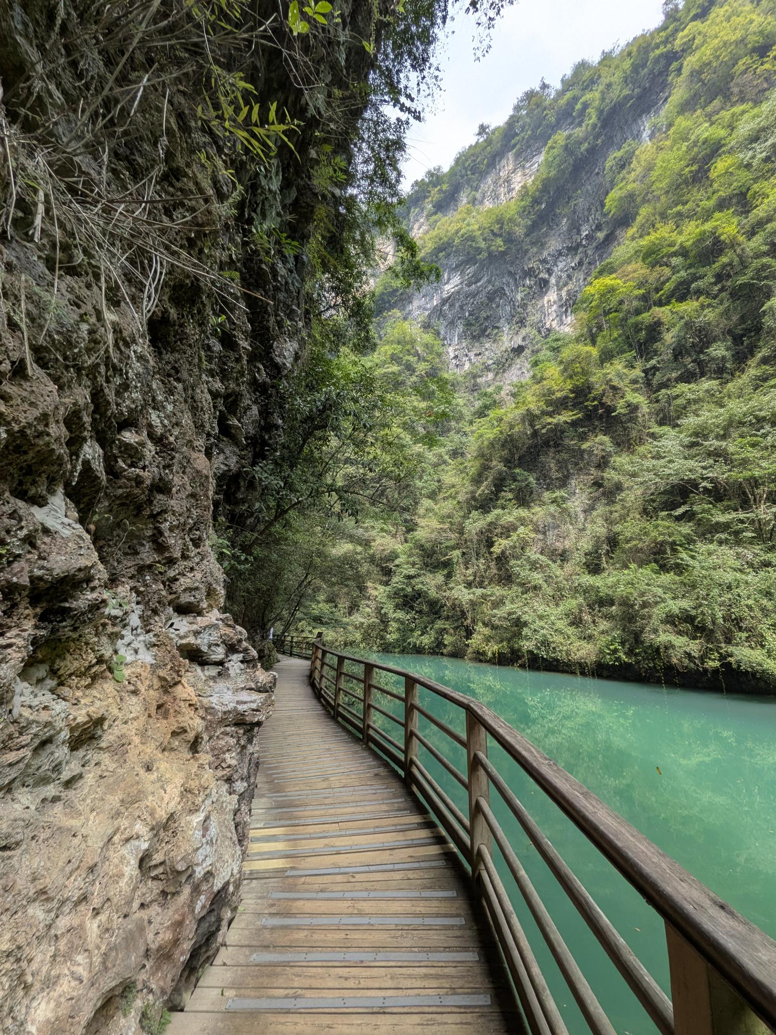 La passerelle en bois et la vasque turquoise au pied de la montagne boisée
