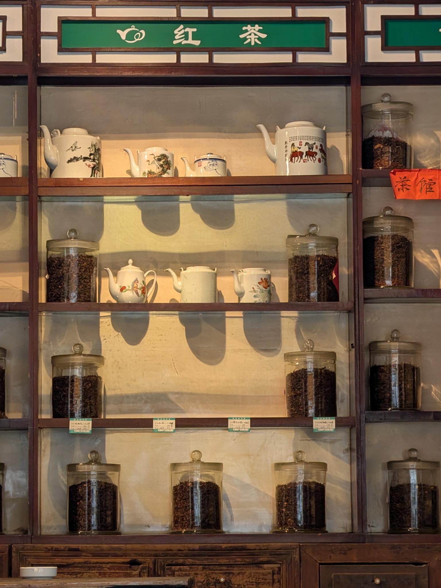 La vitrine : théiers et feuilles de thé