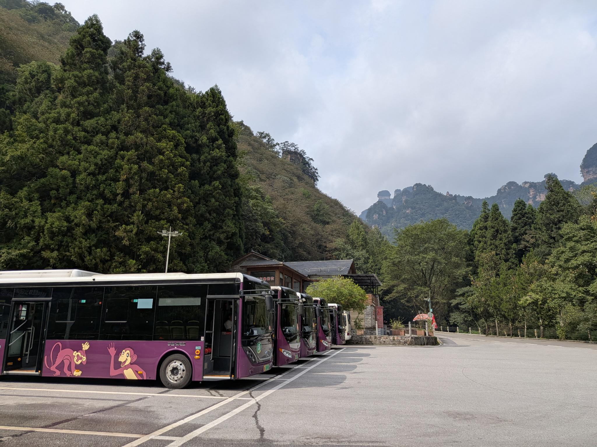 La file des bus touristiques, sur le parking à l'entrée du parc