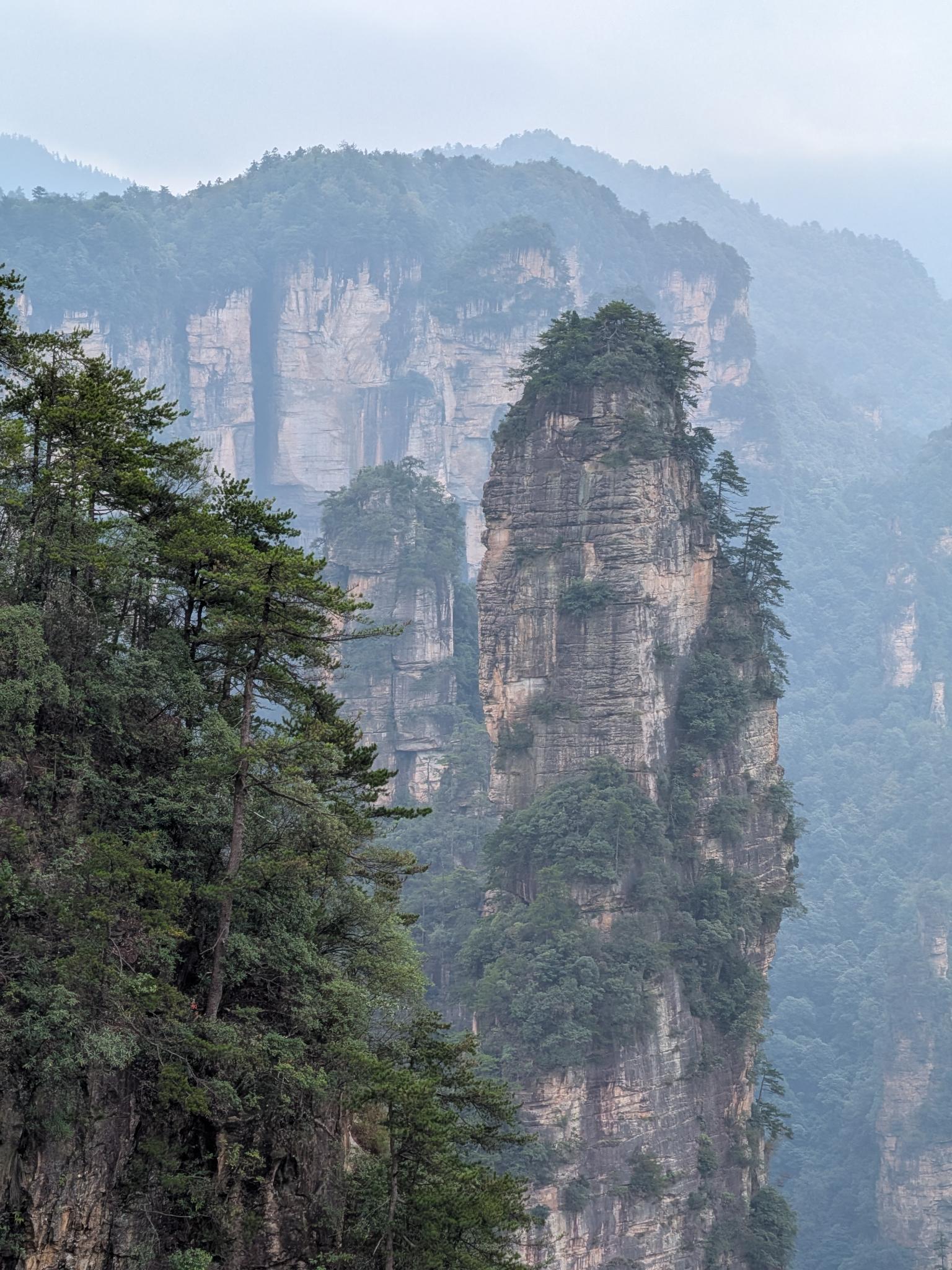 La crête de pins et les piliers, en contre-plongée depuis la falaise