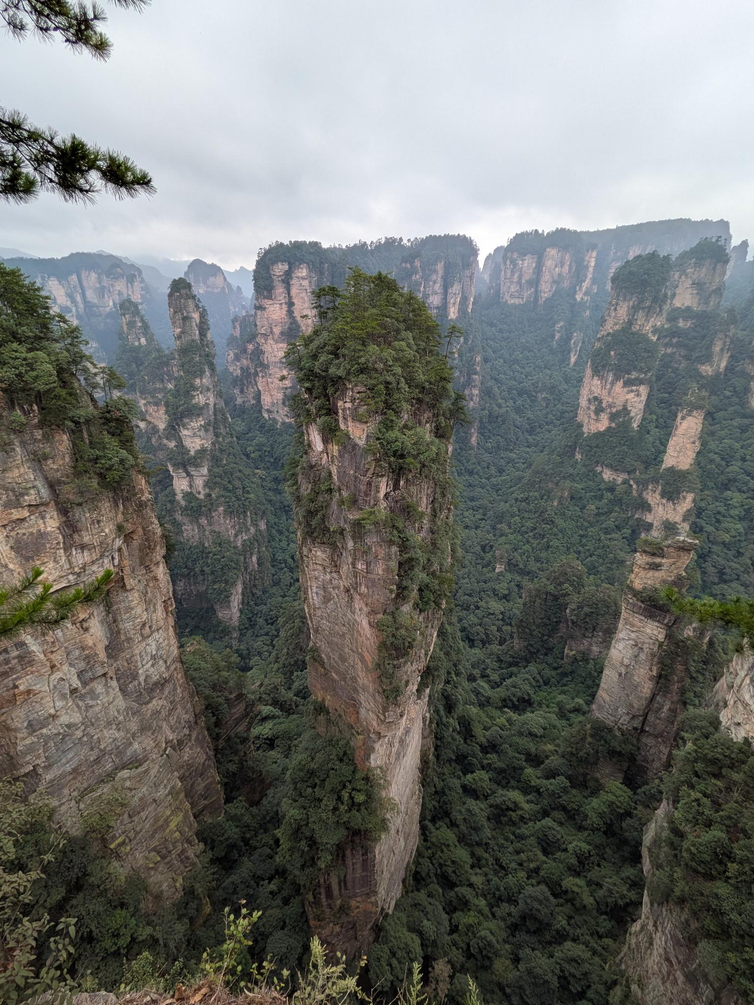 Le pilier central, le pin et la vallée en contrebas