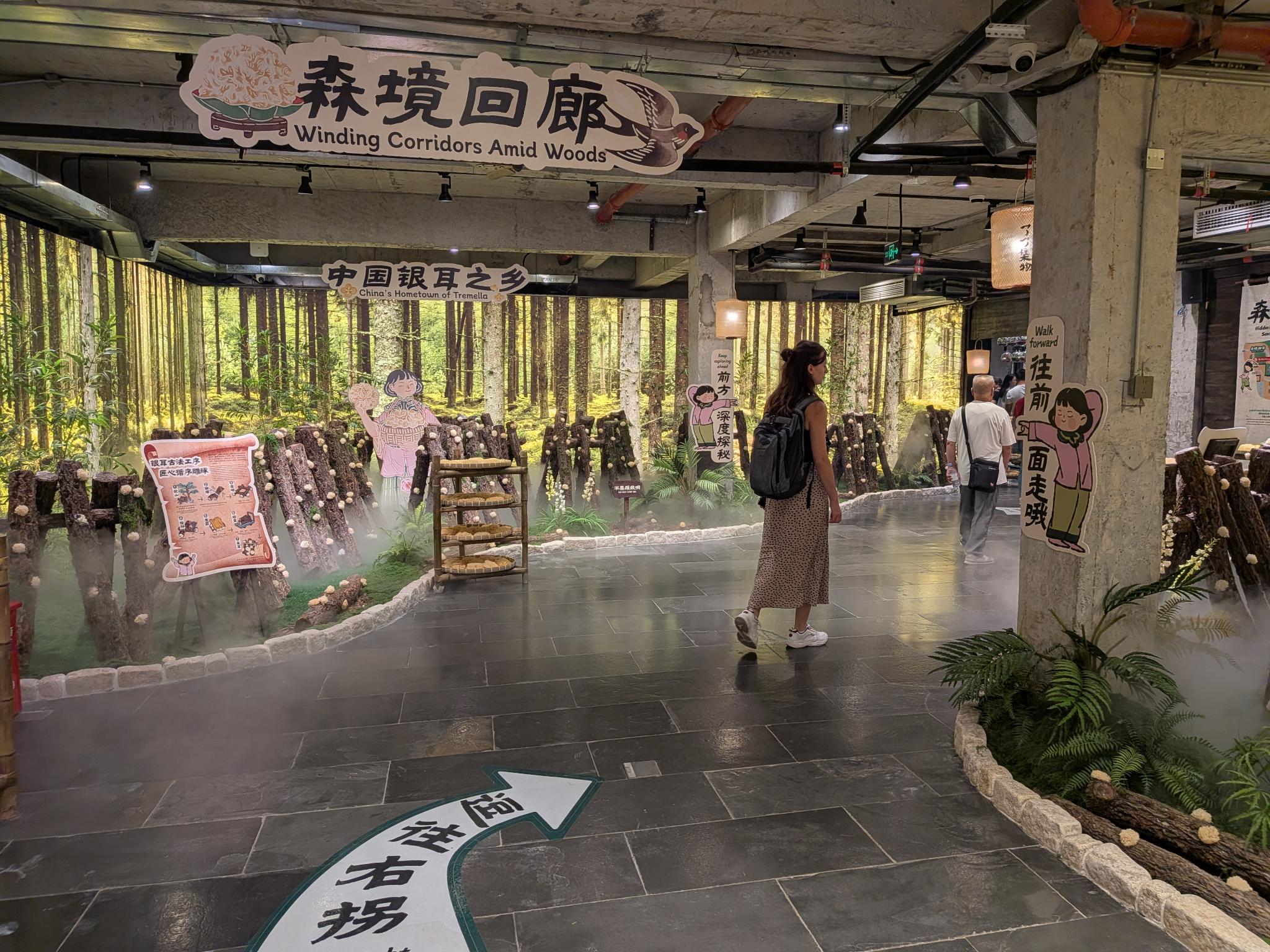 Une expo sur le champignon blanc, un des mini-musées du quartier