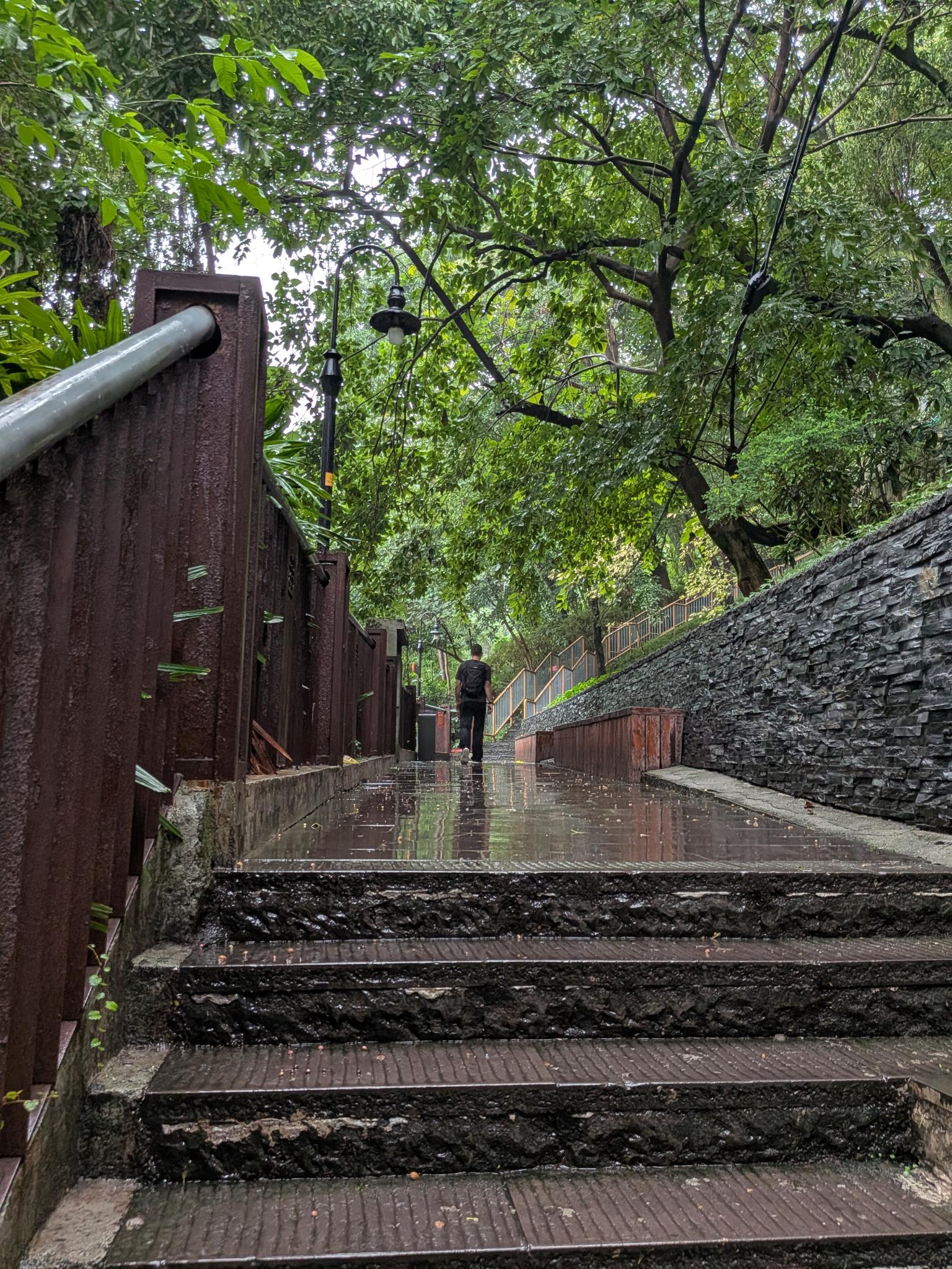 Le chemin pavé sous la pluie, vers la colline
