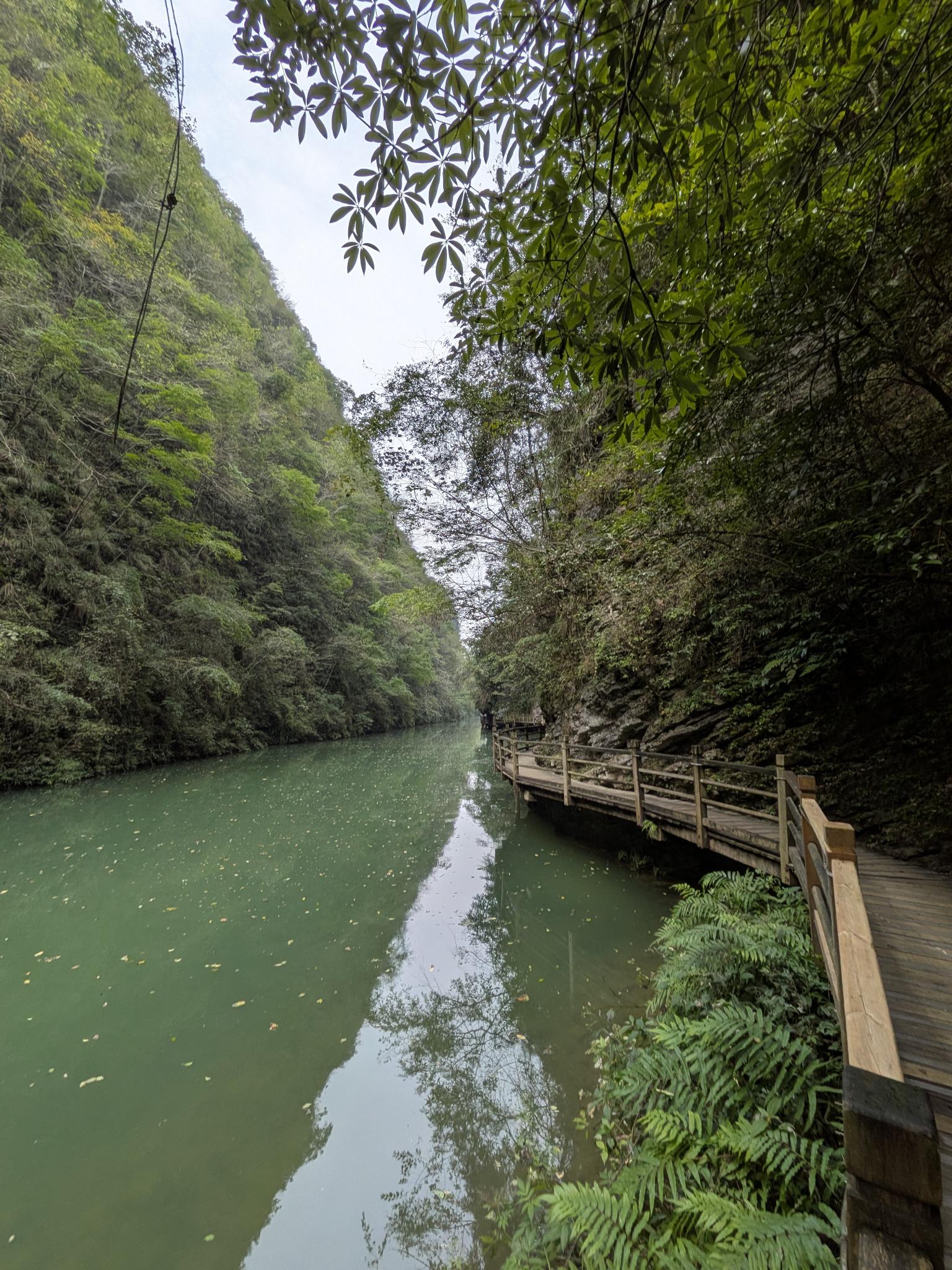 Le canyon, la rivière verte et la passerelle qui suit le bord de l'eau
