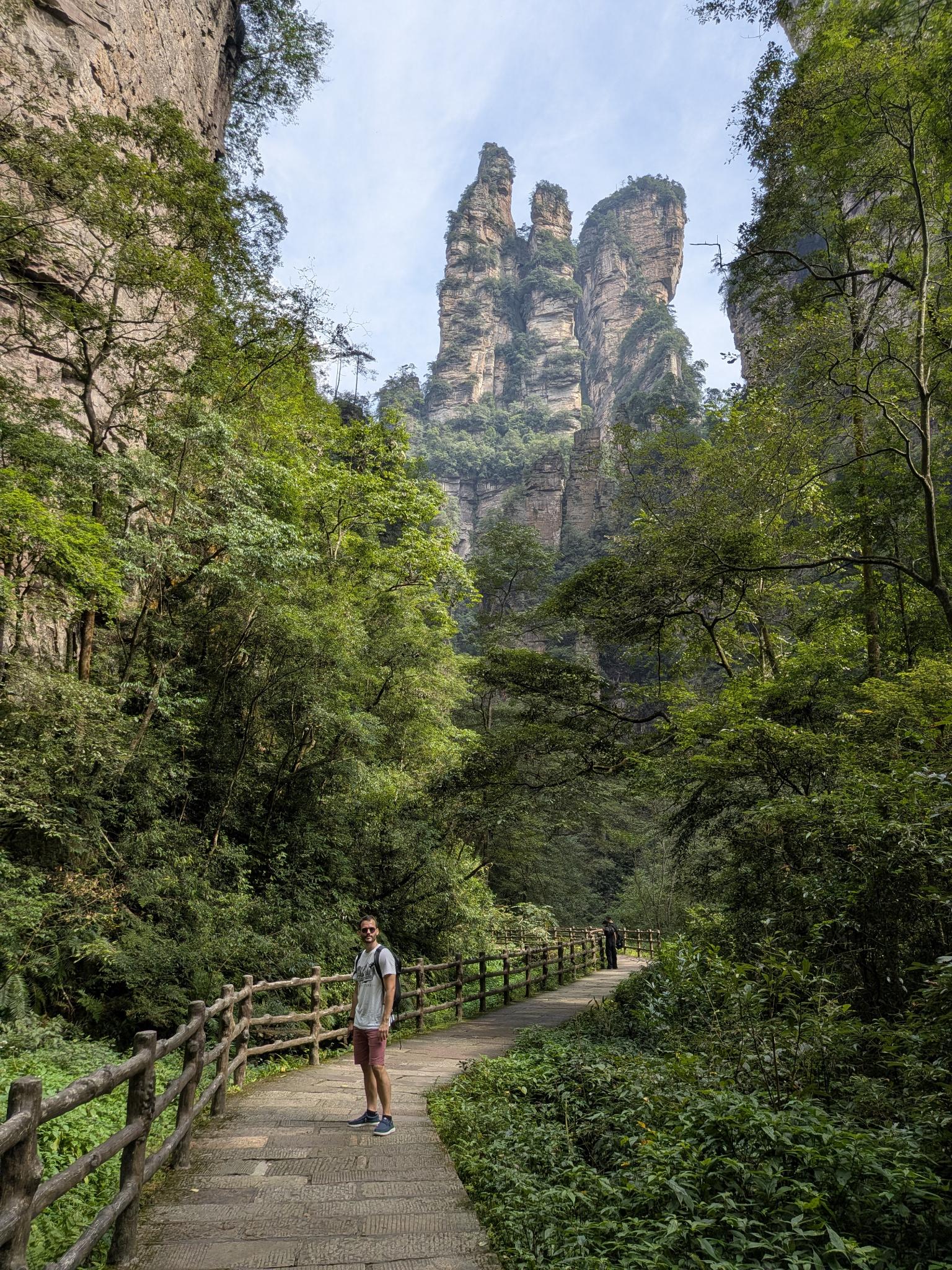 Le sentier bordé de son petit mur de bois, les piliers au fond