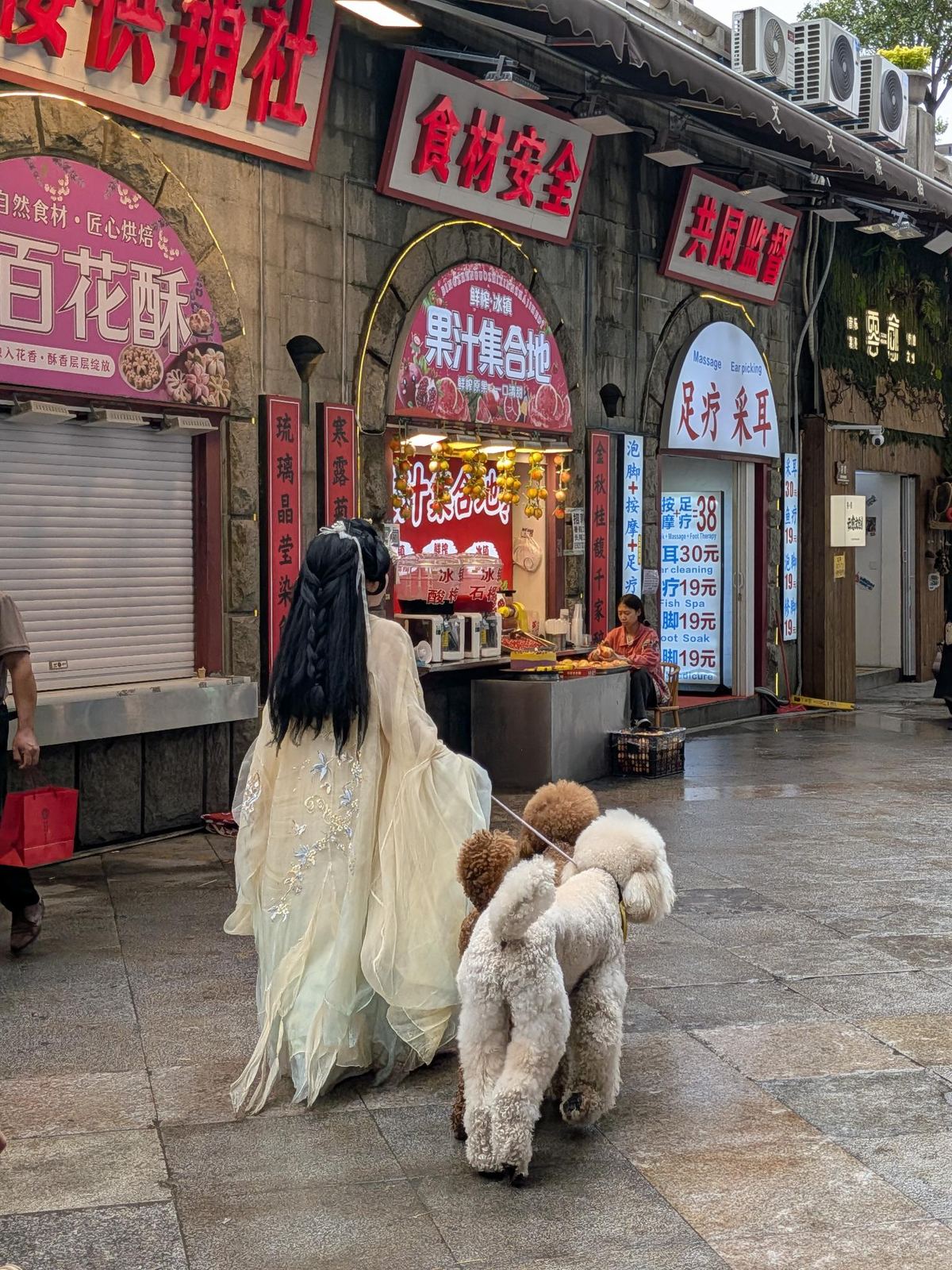 Femme en hanfu crème promenant deux cockers (blanc et brun) en laisse, devant les enseignes 百花酥, 果汁集合地, 足疗 采耳