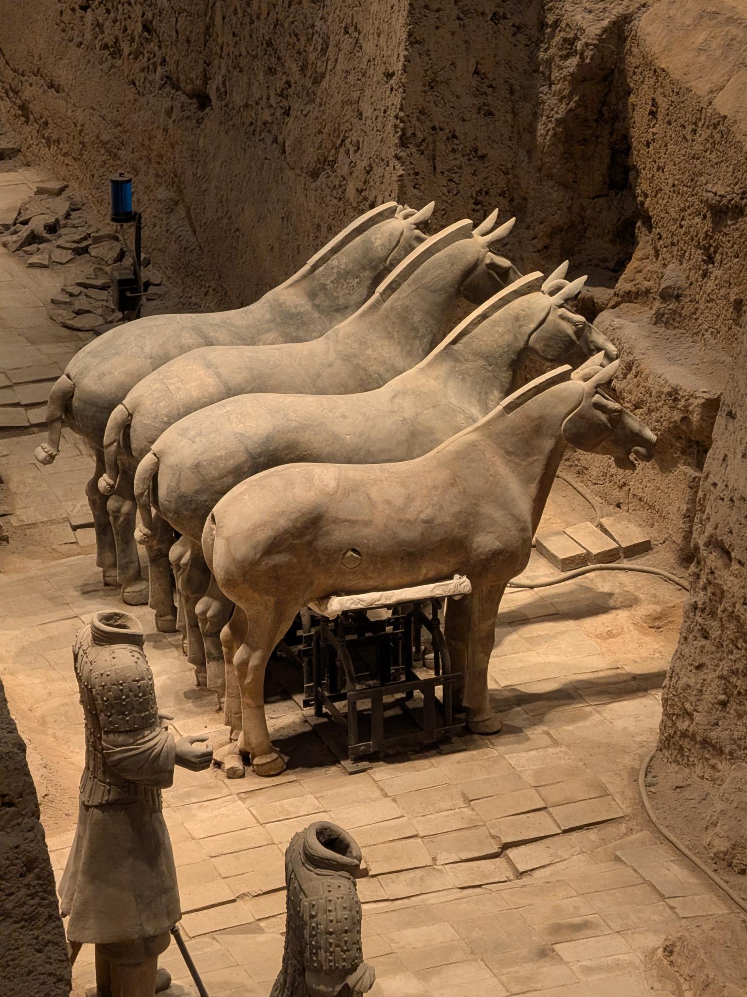 Quatre chevaux de terre cuite en rangée, museaux tournés vers le mur, cadres de stabilisation en dessous