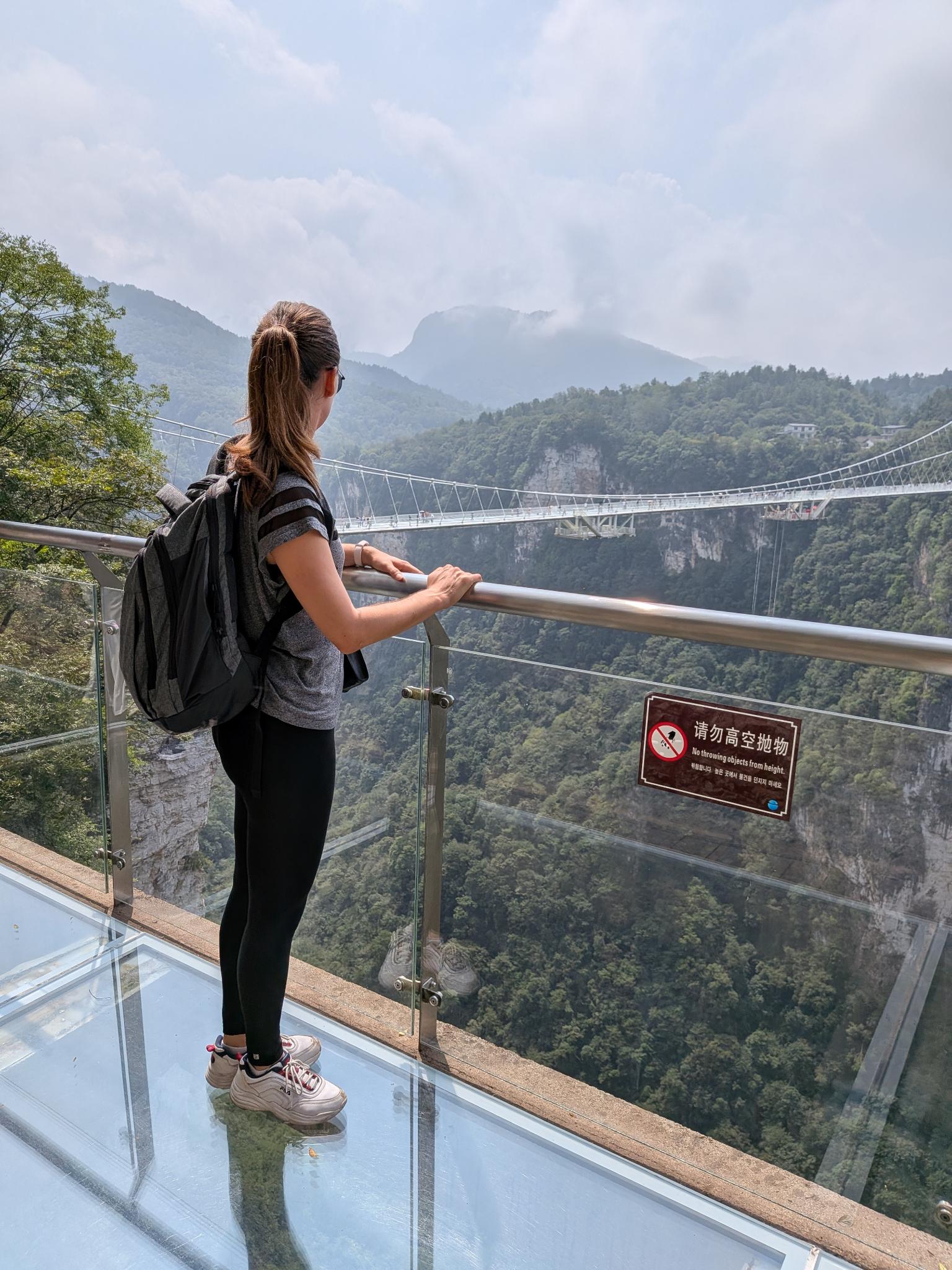 La plateforme panoramique en verre avec sa consigne « no throwing objects from height »