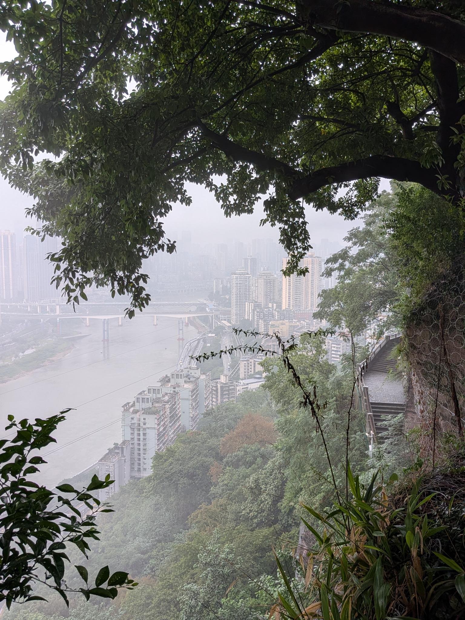 Le fleuve, le pont et la skyline qui s'estompent dans le brouillard