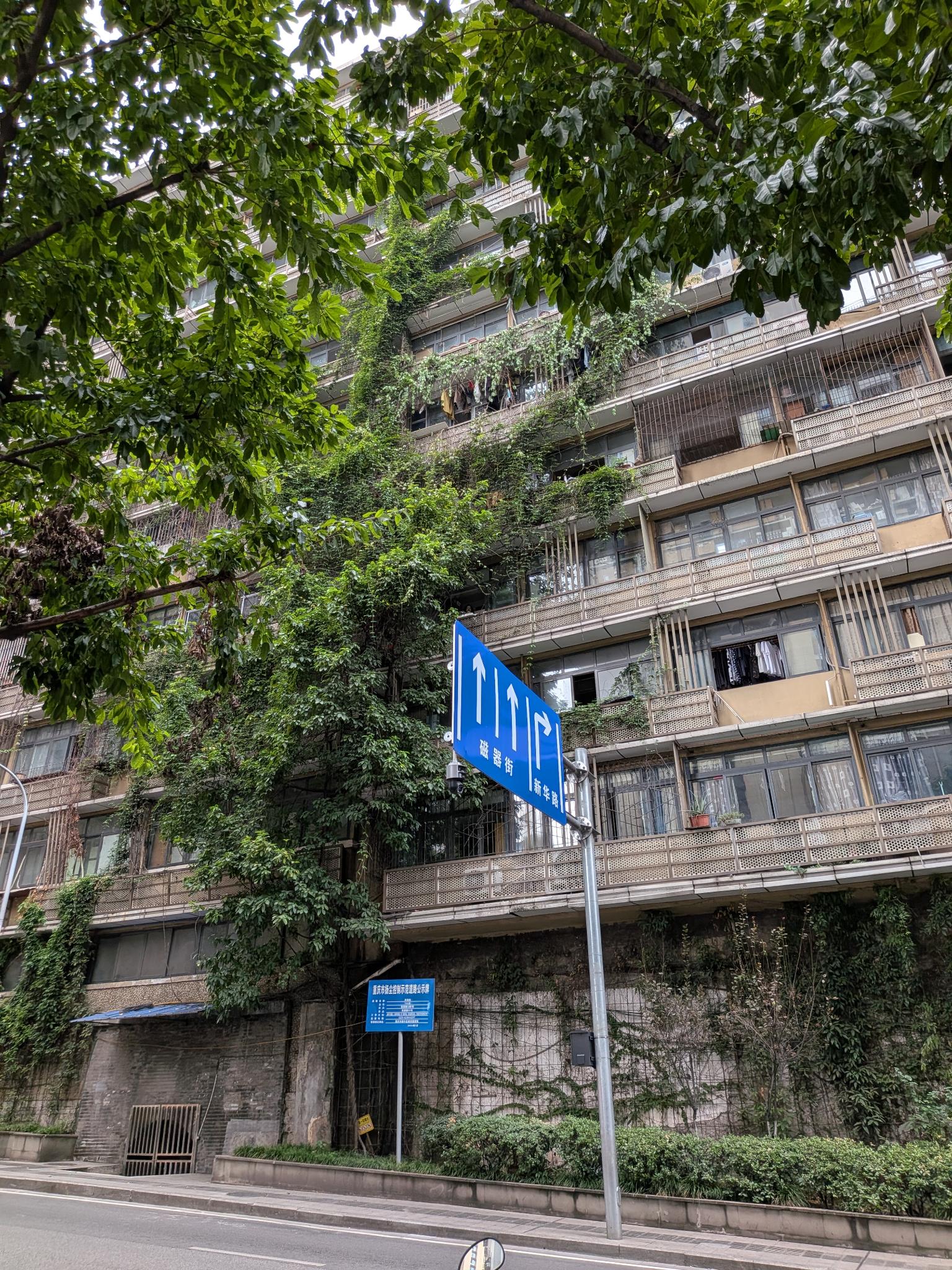 Un immeuble d'habitation envahi de lierre